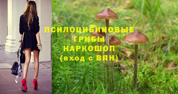 кокс Липки
