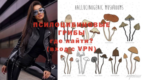 индика Лиски