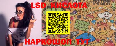 a pvp Бузулук