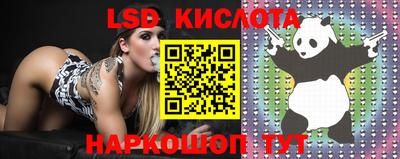 стаф Бугуруслан