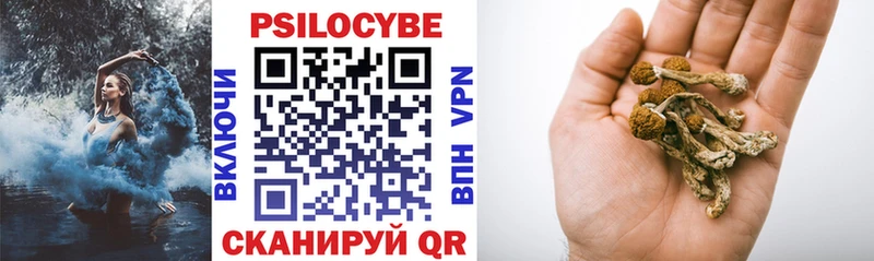 Галлюциногенные грибы мухоморы  наркотики  Касимов 