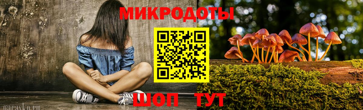 Псилоцибиновые грибы GOLDEN TEACHER Касимов