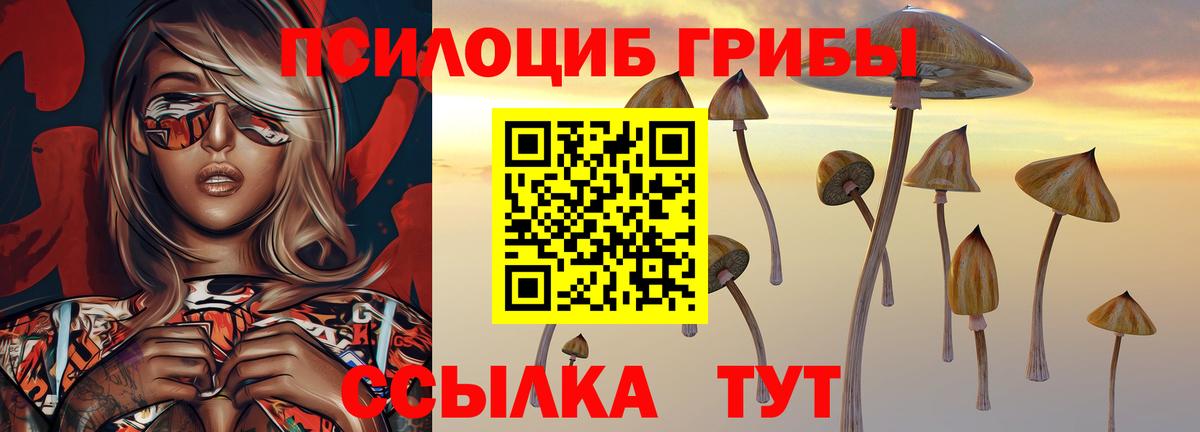 Галлюциногенные грибы прущие грибы  Псилоцибиновые грибы мицелий  Вход с VPN  как найти закладки  Касимов 